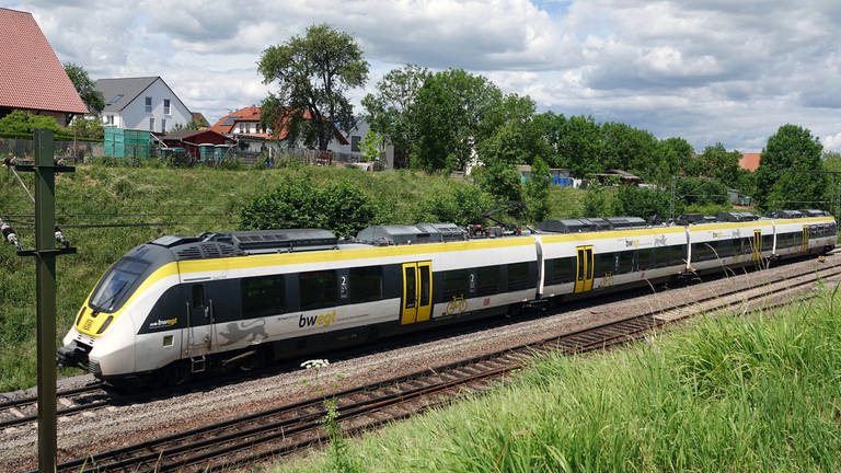 Ein Zug fährt auf der Gäubahnstrecke durch den Kreis Böblingen.  (Foto: dpa Bildfunk, picture alliance/dpa | Christian Johner)