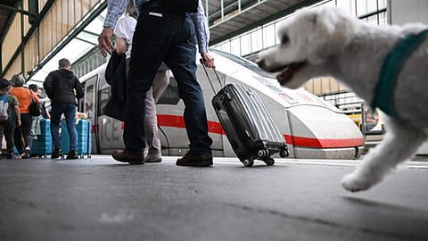 Reisende sollten genügend Zeit einplanen, wenn sie vom Stuttgarter Hauptbahnhof aus ihre Reise antreten oder dort ankommen. Auf dem Bild sind Reisende und ein Hund am Bahngleis vor einem ICE zu sehen. (Foto: dpa Bildfunk, picture alliance/dpa | Bernd Weißbrod)