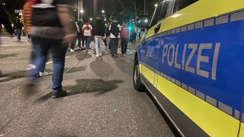 Polizei und VfB-Fans (Foto: SWR)