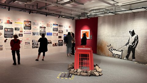 Nachgeahmte Werke von Banksy in einer Ausstellung in Stuttgart (Foto: SWR)
