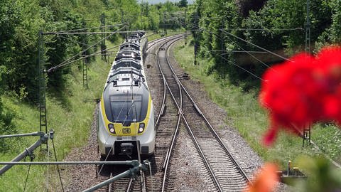 Zug fährt auf der Gäubahnstrecke - Ihre Zukunft wird beim Faktencheck am Freitag diskutiert (Foto: dpa Bildfunk, picture alliance/dpa | Christian Johner)