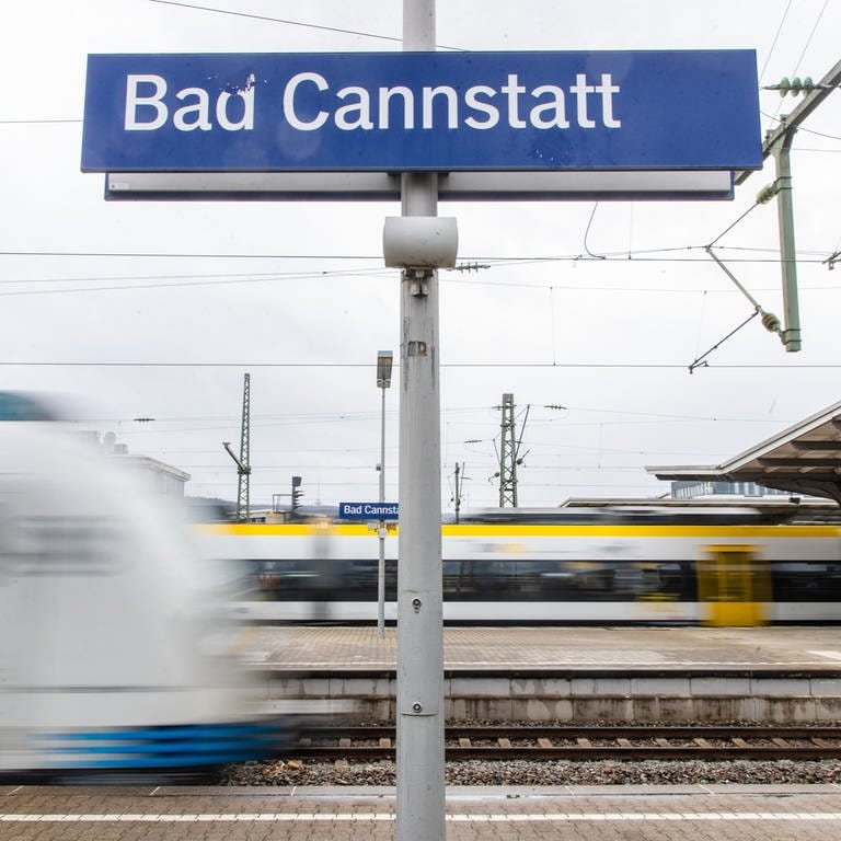 Zug und S-Bahn auf dem Bahnhof Bad Cannstatt (Foto: dpa Bildfunk, picture alliance/dpa | Christoph Schmidt)