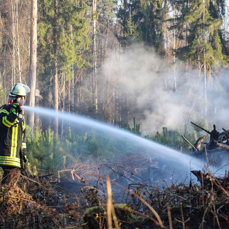 Ein Feuerwehrmann löscht einen Waldbrand. Die Waldbrandgefahr ist derzeit in Teilen Baden-Württembergs laut DWD auf der zweit höchsten Stufe. (Foto: dpa Bildfunk, picture alliance/dpa/5vision.media | Fabien Kriegel)