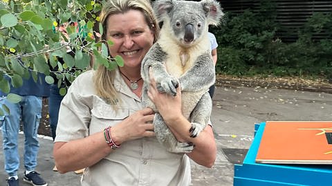 Am Freitag kamen die Koalas in der Wilhelma an und wurden von ihren Tierpflege-Team - hier zu sehen Michelle Barnes - empfangen.
