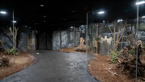 Der Bereich für die nachtaktiven Tiere in der "Terra Australis", dem neuen Australien-Haus der Wilhelma in Stuttgart.