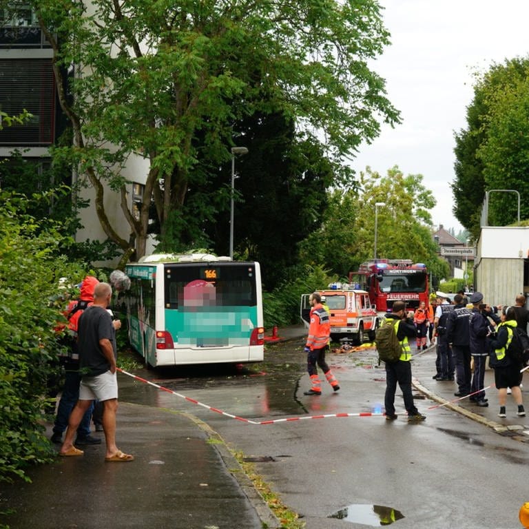 In Nürtingen ist ein Bus gegen einen Baum gefahren. (Foto: SDMG / Woelfl)