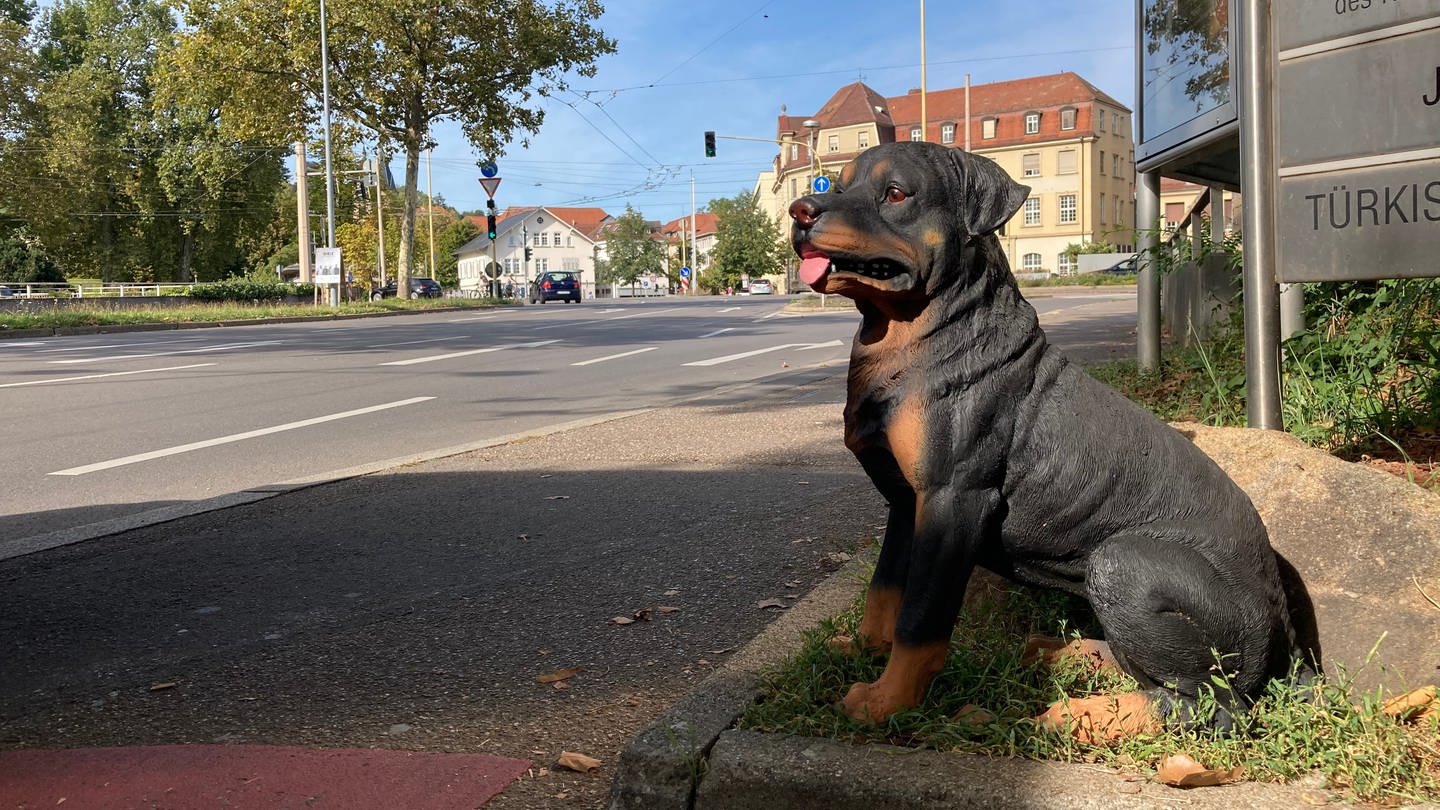 Plastikhund Iwan an der Straße in Esslingen (Foto: SWR, Jonas Faustmann)