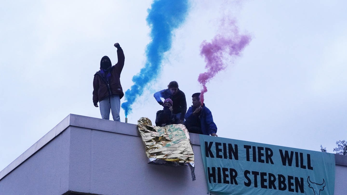 Aktivisten stehen auf dem Dach einer Metzgereifiliale in Backnang um gegen die Schlachtung von Tieren zu protestieren. (Foto: Andreas Rosar Fotoagentur-Stuttgart)