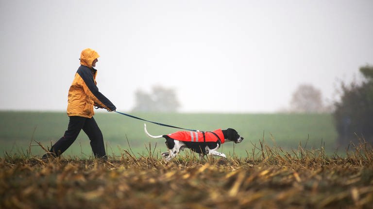 Eine Frau geht mit ihrem Hund Gassi (Archivbild). (Foto: dpa Bildfunk, picture alliance/dpa | Thomas Warnack)