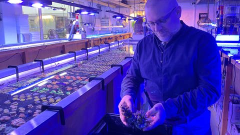 Claude Schuhmacher hält in seiner Firma in Holzgerlingen eine Koralle in den Händen.