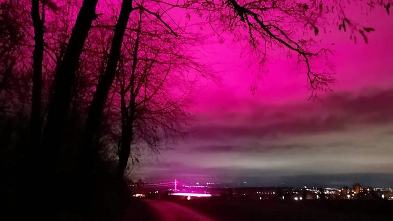 Pinkes Licht aus einem Gewächshaus in Eberdingen-Hochdorf im Kreis Ludwigsburg (Foto: (privat))