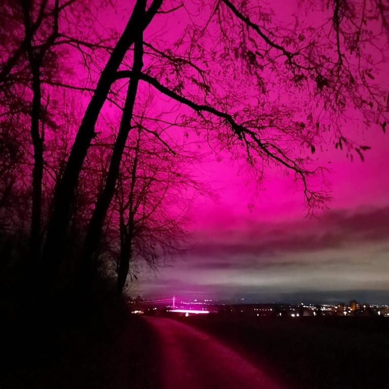 Pinkes Licht aus einem Gewächshaus in Eberdingen-Hochdorf im Kreis Ludwigsburg (Foto: (privat))