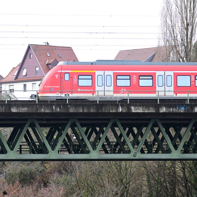Eine S-Bahn bei Stuttgart-Vaihingen (Foto: dpa Bildfunk, picture alliance/dpa | Bernd Weißbrod)