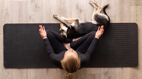 Frau macht Yoga und Hund liegt neben ihr.  (Foto: IMAGO, IMAGO)