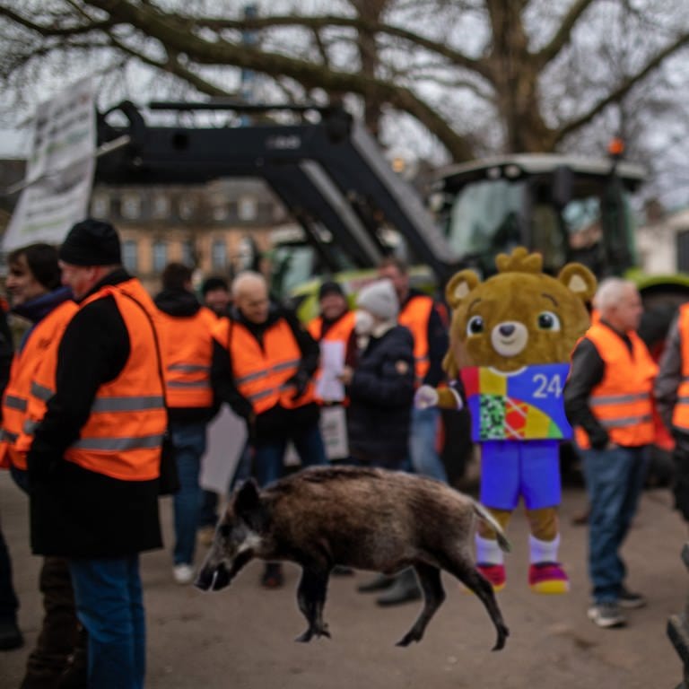 Collage: Im Wochenrückblick des SWR Studio Stuttgart geht es diese Woche um den Bauernprotest, Wildschweine, die UEFA EURO 2024 und vieles mehr. (Foto: dpa Bildfunk, Montage: SWR)