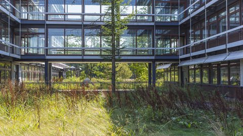 Der Eiermann-Campus in Stuttgart-Vaihingen steht leer. (Foto: IMAGO, IMAGO / Arnulf Hettrich)