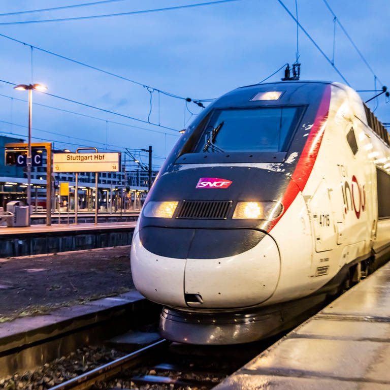 Ein TGV im Stuttgarter Hauptbahnhof (Foto: IMAGO, IMAGO / Arnulf Hettrich)