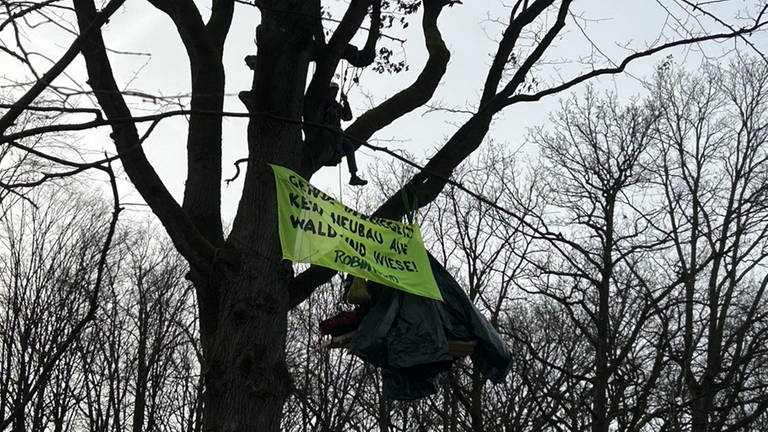In einem Baum sitzen Menschen. Vor ihnen ist ein Transparent aufgespannt und an einem Ast hängt eine Plattform. (Foto: SWR, Jannis Gövert)