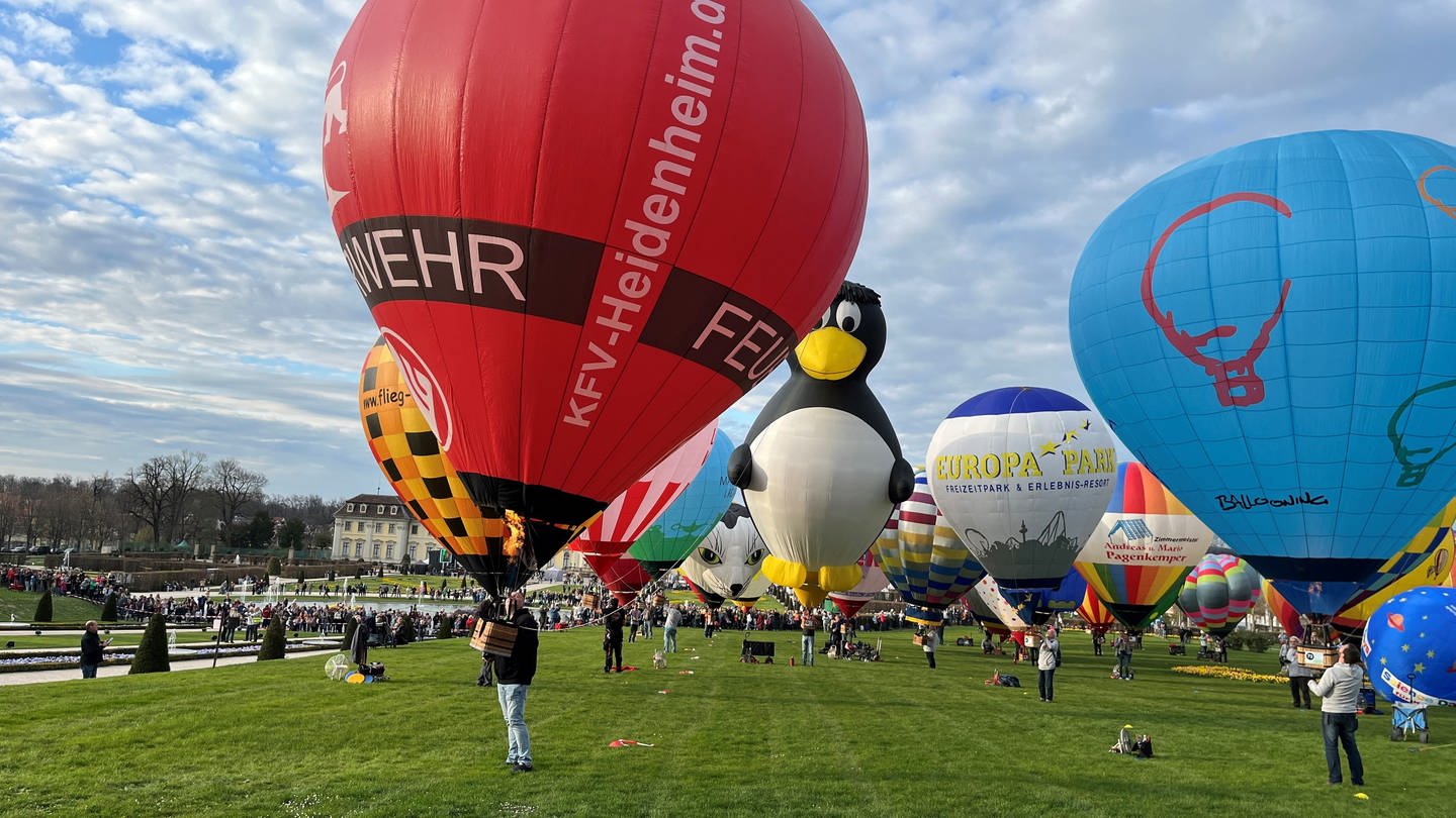 81 Modellballone standen im Blühenden Barock im der Luft. Das ist ein neuer Weltrekord! (Foto: SWR, Werner Trefz)