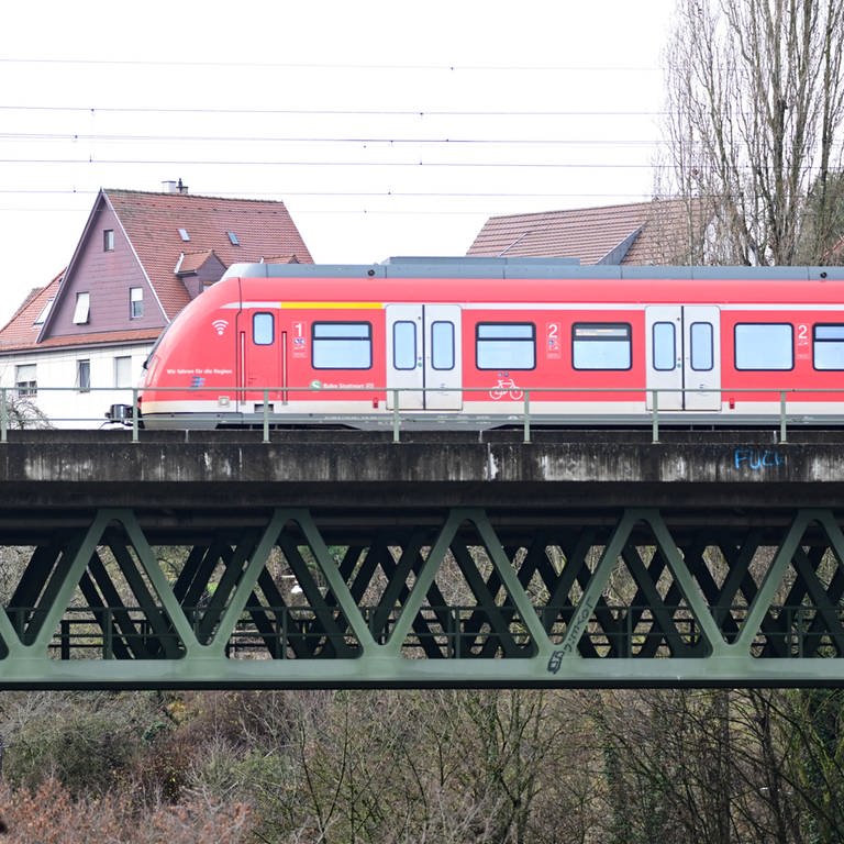 Eine S-Bahn fährt über eine Brücke. (Archivbild)