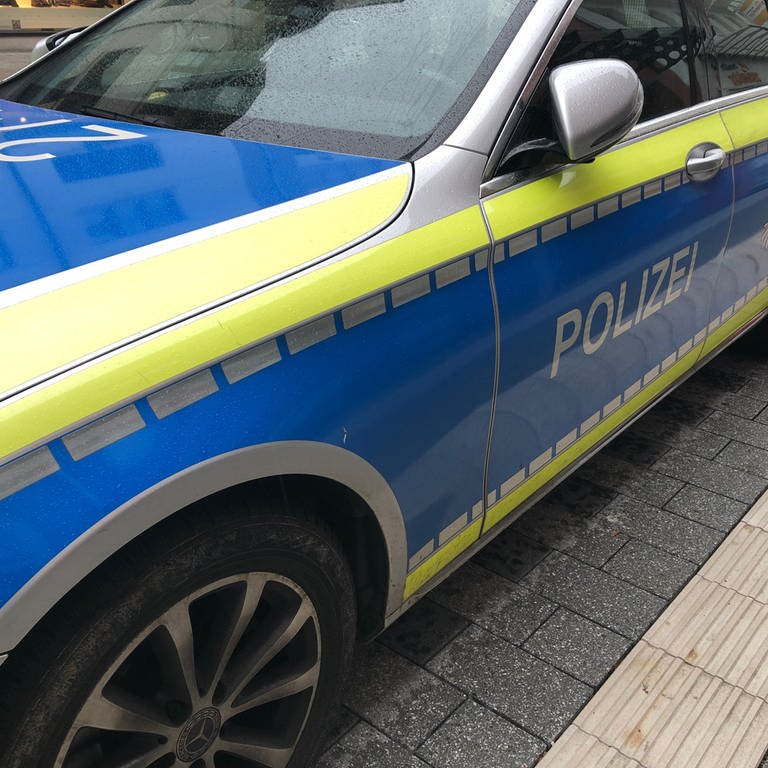Ein parkendes Polizeiauto (Foto: SWR, Laura Könsler)