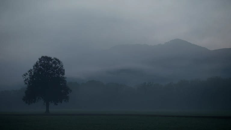 Das Dreisamtal ist in dicke Nebelschwaden gehüllt (Foto: SWR, Moritz Rebholz)
