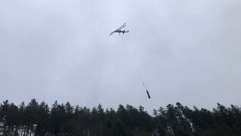 Ein Helikopter holt Bäume aus dem Wald bei Triberg (Foto: SWR)