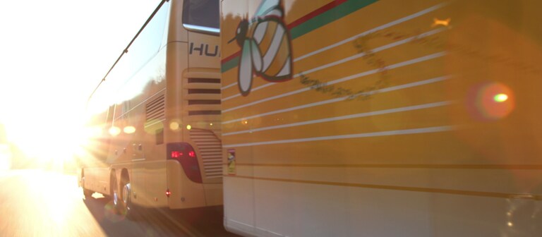 Ein gelber Reisebus fährt in den Sonnenaufgang.  (Foto: SWR)