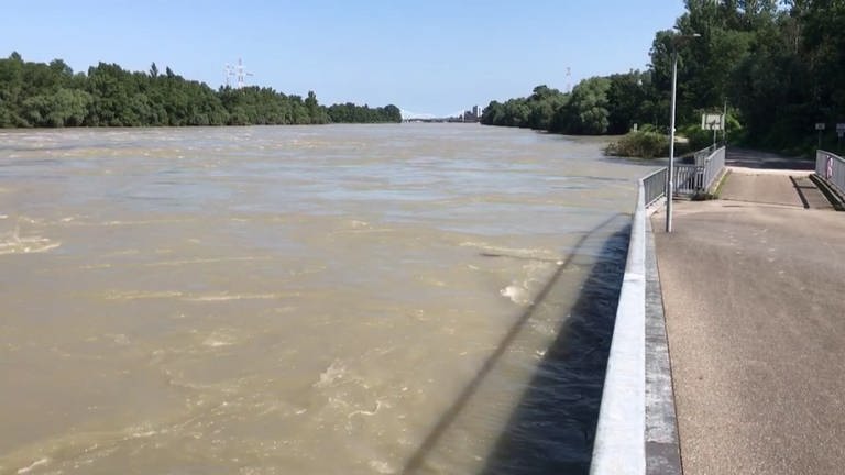 Der Rhein mit Hochwasser am Kulturwehr Kehl (Ortenaukreis) (Foto: SWR)