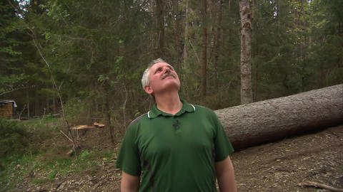 Klimawandel: Waldbesitzer Martin Tritschler fürchtet um die Zukunft seiner Bäume. (Foto: SWR)