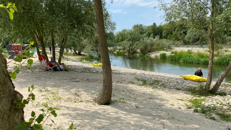 Rheinufer auf dem Gelände der Landesgartenschau in Neuenburg am Rhein (Foto: SWR, Jasmin Bergmann)