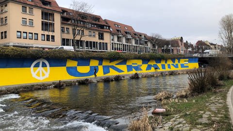 Große Ukraine-Fahne am Dreisamufer in Freiburg (Foto: SWR, Anita Westrup)