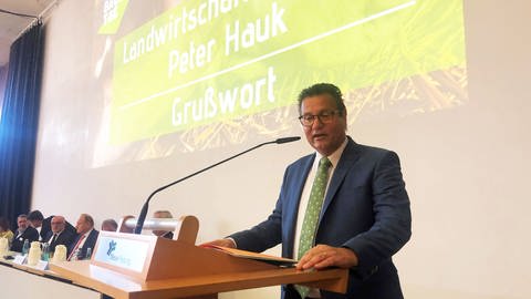 Der baden-württembergische Landwirtschaftsminister Peter Hauk (CDU) beim Festakt zu 75 Jahre BLHV (Foto: SWR, Christoph Ebner)