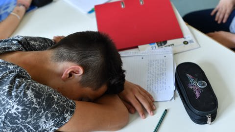 Ein Schüler ist während des Unterrichts eingeschlafen. (Foto: picture-alliance / Reportdienste, Jens Kalaene)