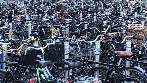 Hunderte Fahrräder sind im Bild zu sehen. Sie stehen in mehreren Reihen eng beieinander. (Foto: picture-alliance / Reportdienste, picture alliance/dpa | Steffen Trumpf)