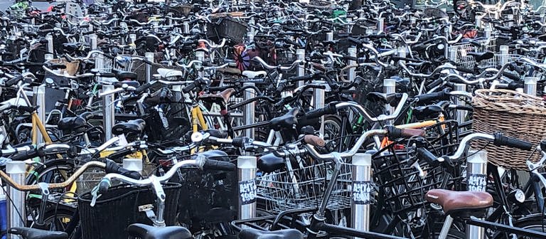 Hunderte Fahrräder sind im Bild zu sehen. Sie stehen in mehreren Reihen eng beieinander. (Foto: picture-alliance / Reportdienste, picture alliance/dpa | Steffen Trumpf)