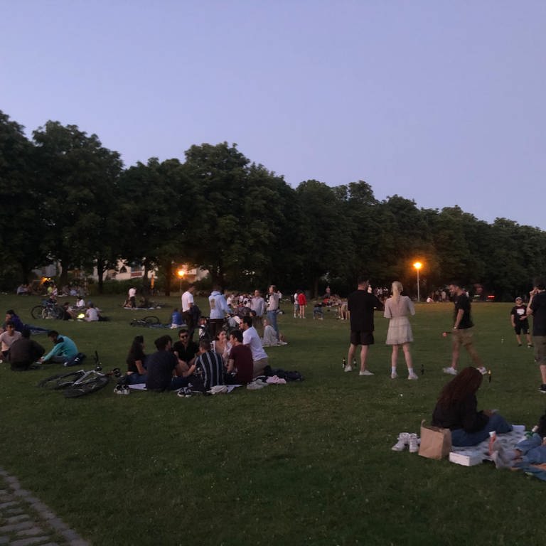 Abendstimmung am Seepark in Freiburg (Foto: SWR, Isabell Röder)