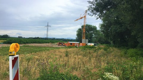 Freiburg-Dietenbach: Erste Arbeiten für den künftigen neuen Stadtteil (Foto: SWR, Gabi Krings)