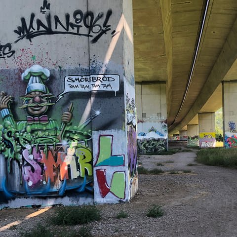 Graffiti mit Muppetfigur, im Hintergrund weitere Graffiti an Pfeilern (Foto: SWR, Laura Könsler)