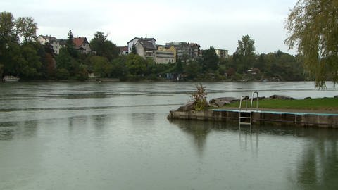 Kleine Ufermauer am Rhein mit Einstieg (Foto: SWR)