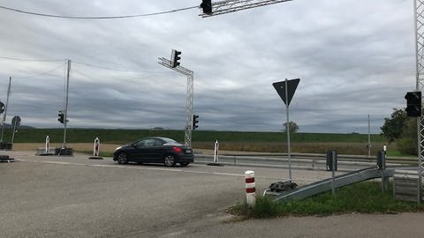 Zwischen Meißenheim-Kürzell und Friesenheim-Schuttern gibt es derzeit einen Verkehrsversuch. (Foto: SWR, Ulf Seefeldt)