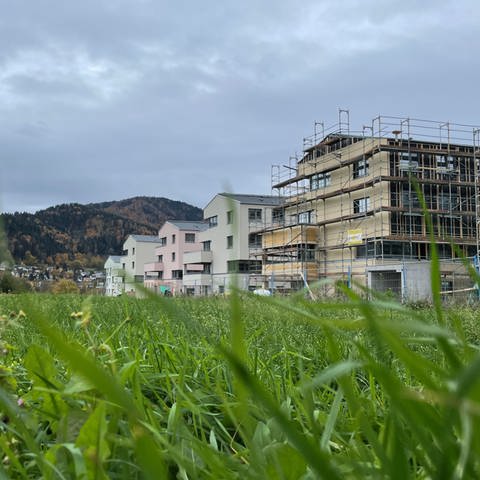 Im Freiburger Stadtteil Ebnet entsteht eine neue Wohnsiedlung. (Foto: SWR, Anita Westrup)