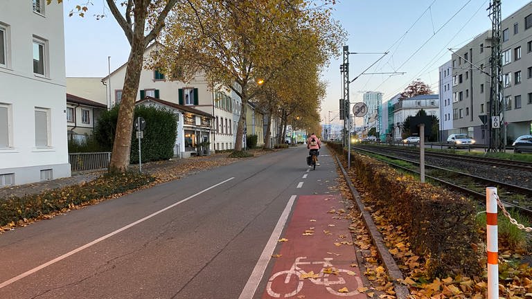 Eine Frau fährt mit ihrem Fahrrad auf einem Fahrradschutzstreifen. Links davon ist eine zweispurige Straße, die Bahnhofstraße in Lörrach. (Foto: SWR, Katharina Seeburger)