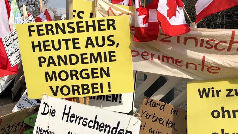 Plakate von Coronaleugnern und Impfskeptikern bei einer Demonstration in Freiburg (Foto: SWR)