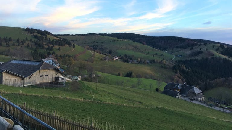 Blick auf das "Haldenköpfle" am Schauinsland: Hier willl die Bürgerenergie Münstertal zwei Windräder bauen. (Foto: SWR, Gabi Krings)