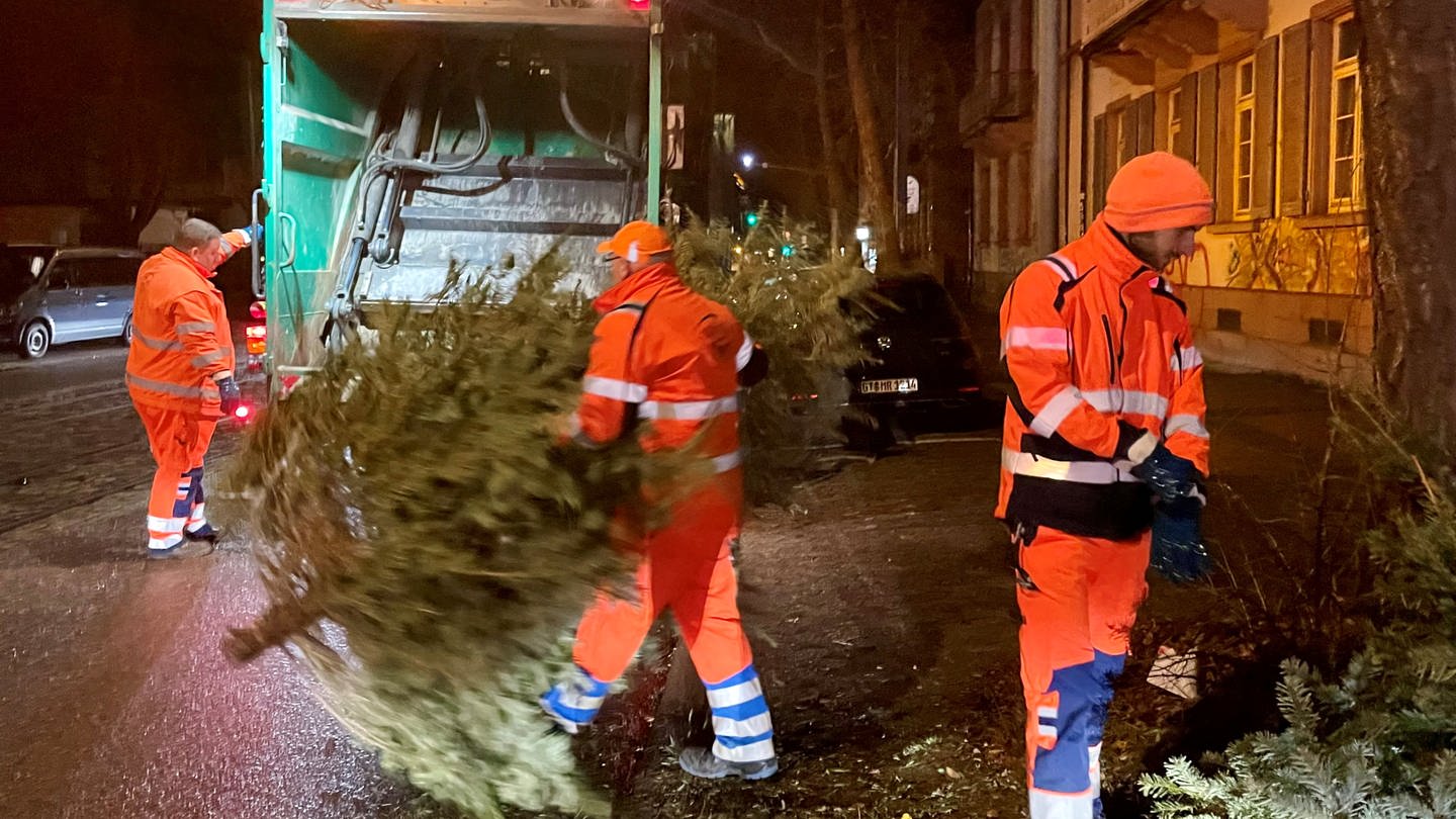 Drei Männer sind mit einem Müllwagen unterwegs, werfen Bäume in die Presse des Fahrzeugs und laden die Bäume am Ende auf einem Haufen ab. (Foto: SWR, Wera Engelhardt)