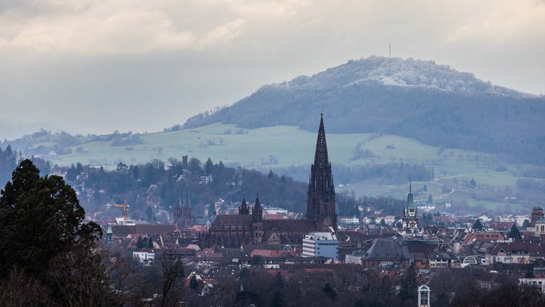 Freiburg verzeichnet Besucherrekord (Foto: dpa Bildfunk, Philipp von Ditfurth)