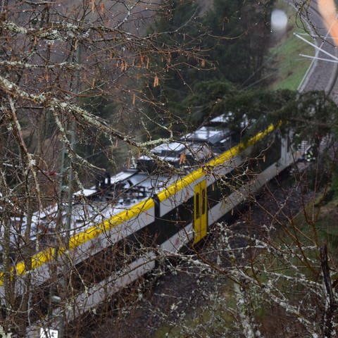 Ein Regionalzug war bei Friedenweiler gegen einen auf die Gleise gefallenen Baum gefahren. Durch die Kollision fing der Baum in der Oberleitung Feuer. (Foto: Kamera24)