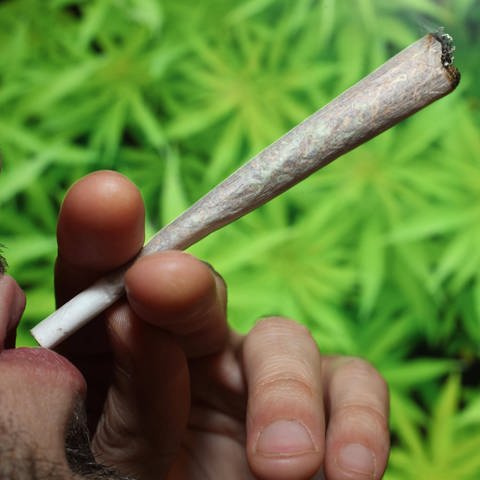 Cannabis-Pläne der Bundesregierung lösen im Südwesten Sorgen aus. (Foto: IMAGO, imagebroker)