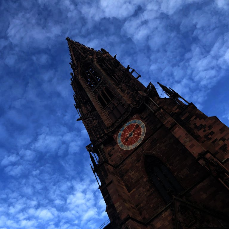 Freiburger Münster (Foto: SWR)